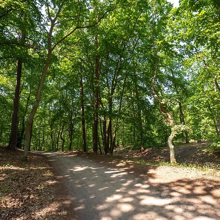 Lägenhetshotell Sea & Forest